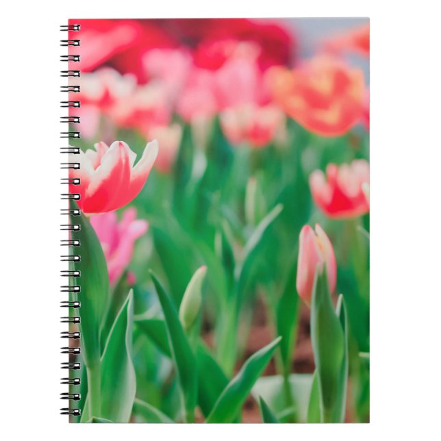Cuaderno Esfera selecta, naturaleza asombrosa de la hermosa (Frente)