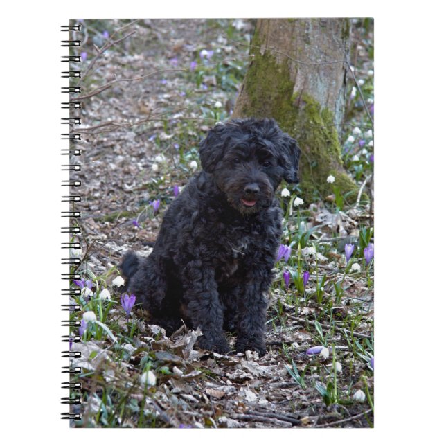 Cuaderno Español de Black English Springer (Frente)