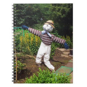 Cuaderno Espantapájaros divertidos