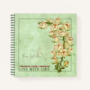 Cuaderno Especies vegetales en peligro de extinción: Aeride