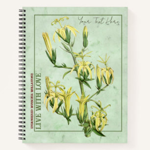 Cuaderno Especies vegetales en peligro: Musschia wollastoni