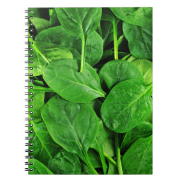 Cuaderno Espinaca