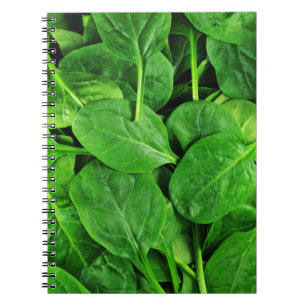Cuaderno Espinaca