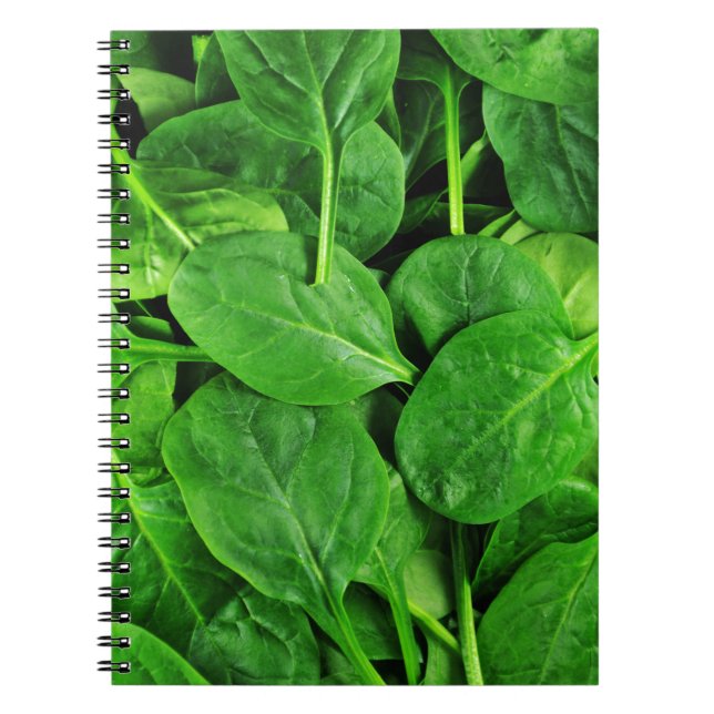 Cuaderno Espinaca (Frente)