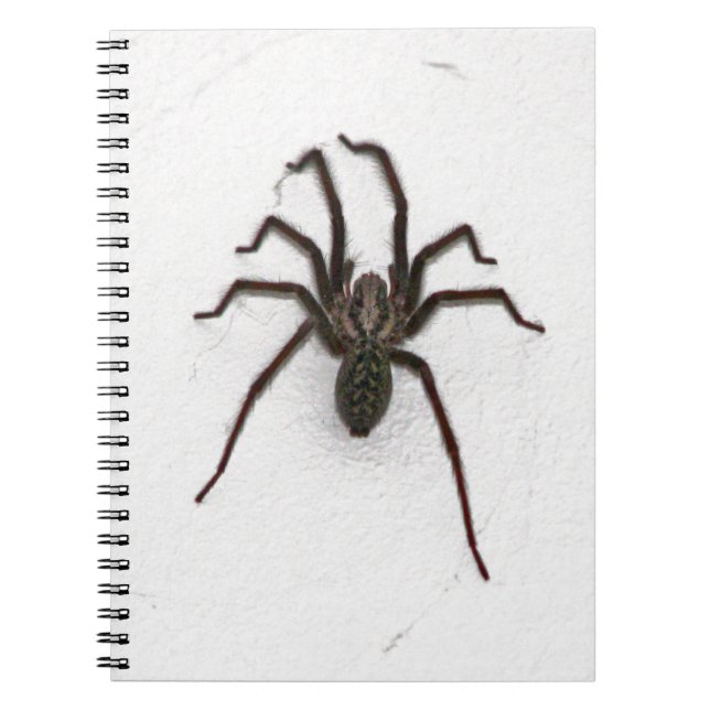 Cuaderno Espinosa araña (Frente)