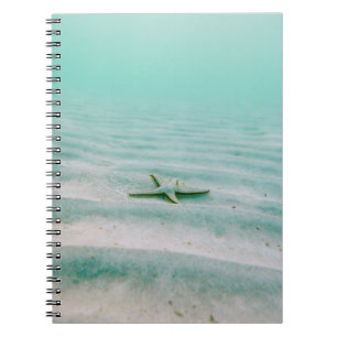 Cuaderno Espinosa blanca sobre la arena bajo el agua por la
