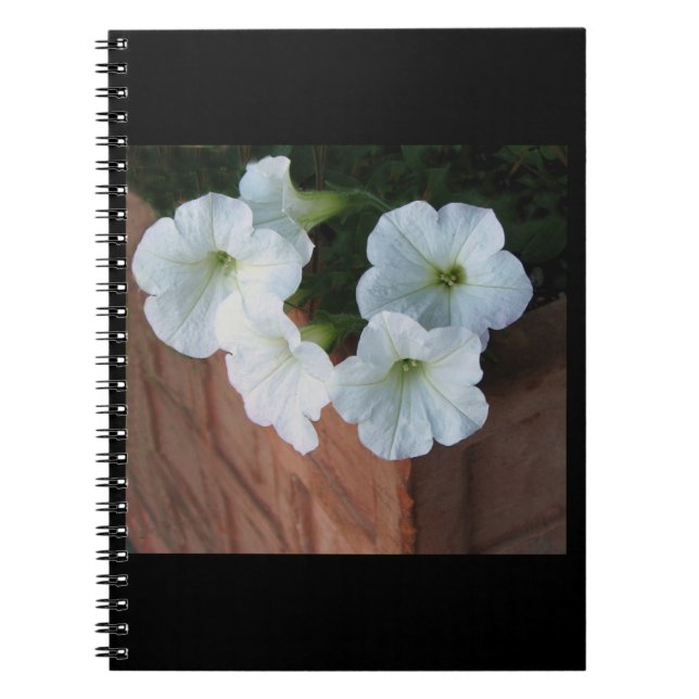 Cuaderno espiral con las petunias blancas (Frente)