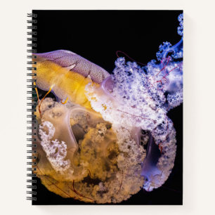 Cuaderno espiral de 8.5" x 11"