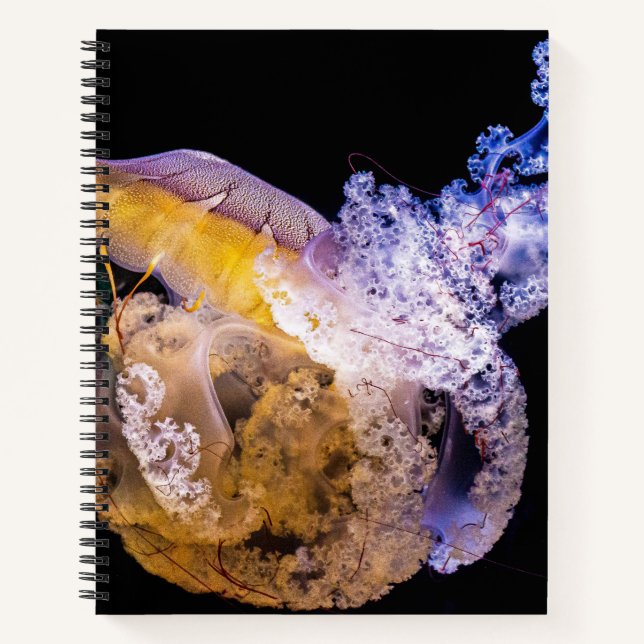 Cuaderno espiral de 8.5" x 11" (Anverso)