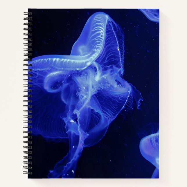 Cuaderno espiral de 8.5" x 11" (Anverso)