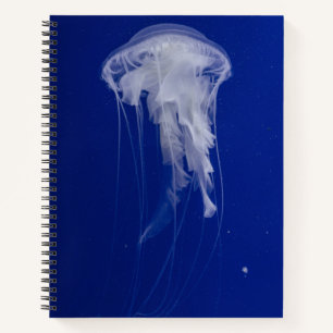 Cuaderno espiral de 8,5" x 11"