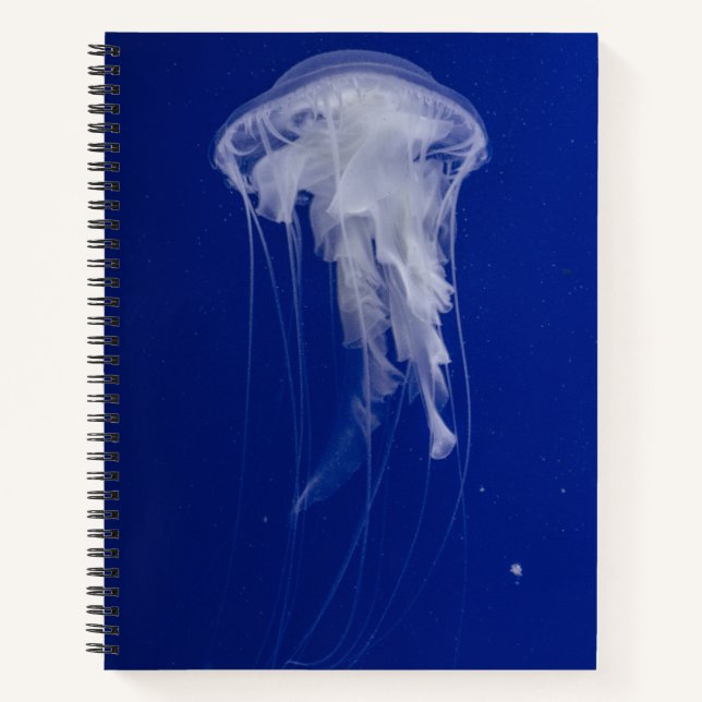 Cuaderno espiral de 8,5" x 11" (Anverso)