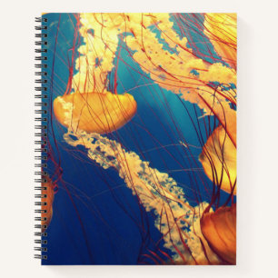 Cuaderno espiral de 8.5" x 11"