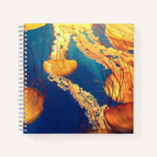 Cuaderno espiral de 8,5" x 8,5"
