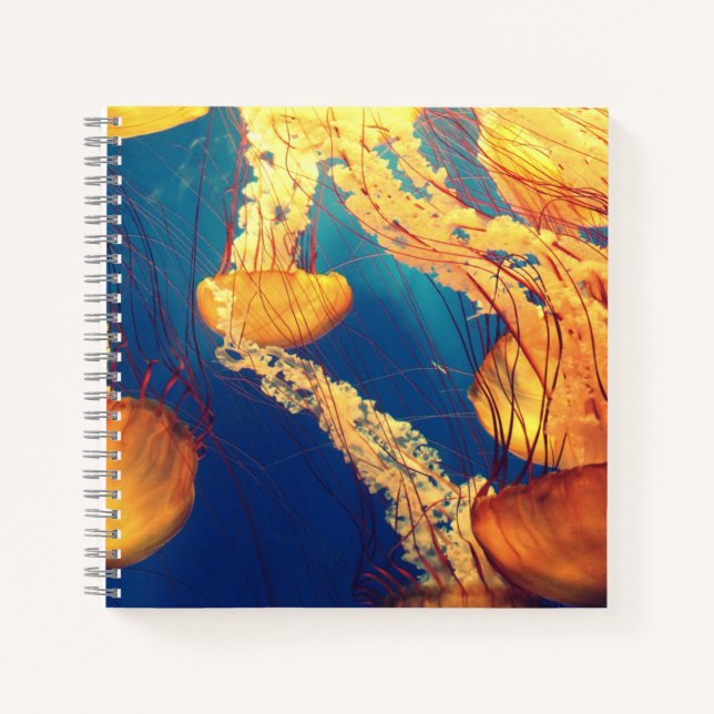 Cuaderno espiral de 8,5" x 8,5" (Anverso)