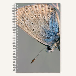 Cuaderno espiral de 8,5" x 8,5"