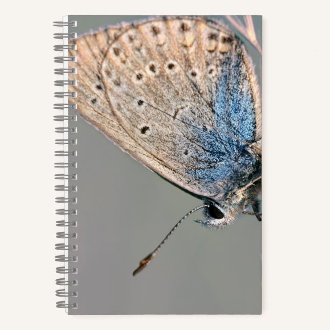 Cuaderno espiral de 8,5" x 8,5" (Anverso)