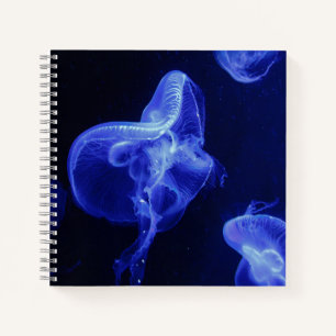 Cuaderno espiral de 8,5" x 8,5"