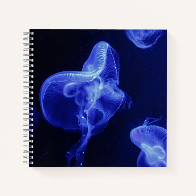 Cuaderno espiral de 8,5" x 8,5" (Anverso)