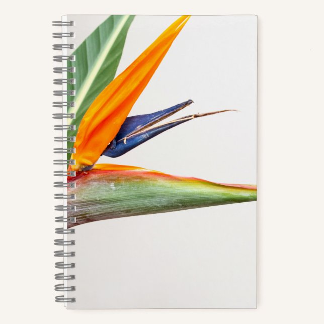 Cuaderno espiral de 8,5" x 8,5" (Anverso)