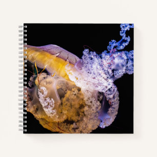 Cuaderno espiral de 8,5" x 8,5"