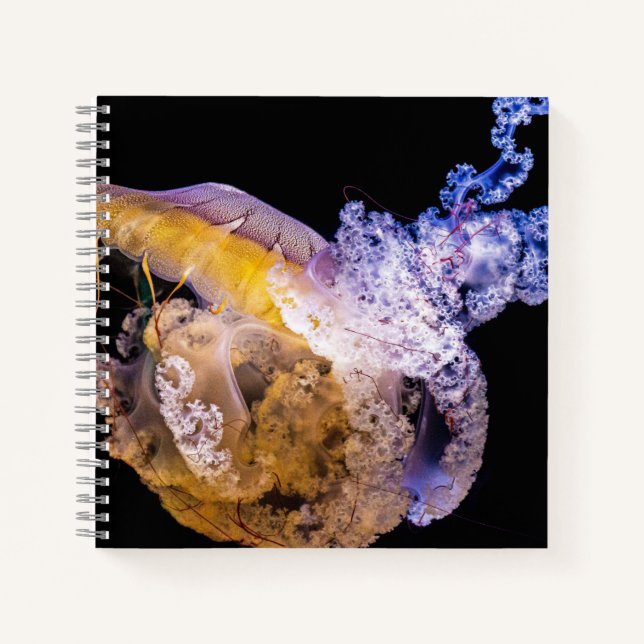 Cuaderno espiral de 8,5" x 8,5" (Anverso)