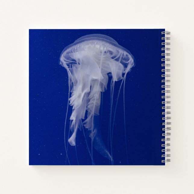 Cuaderno espiral de 8,5" x 8,5" (Reverso)