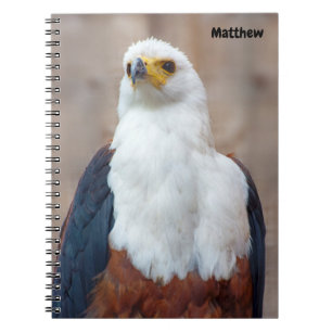 Cuaderno espiral de Águila Pescadora Africana