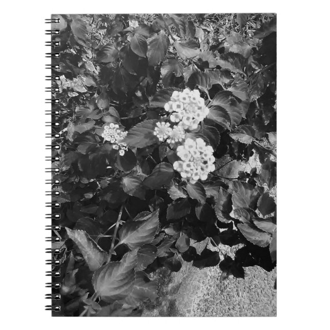 Cuaderno Espiral de flores antiguas (Frente)