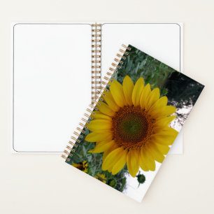 Cuaderno espiral de lujo 5.5x8.5 con arte de giras