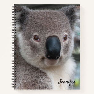 Cuaderno espiral de oso koala lindo