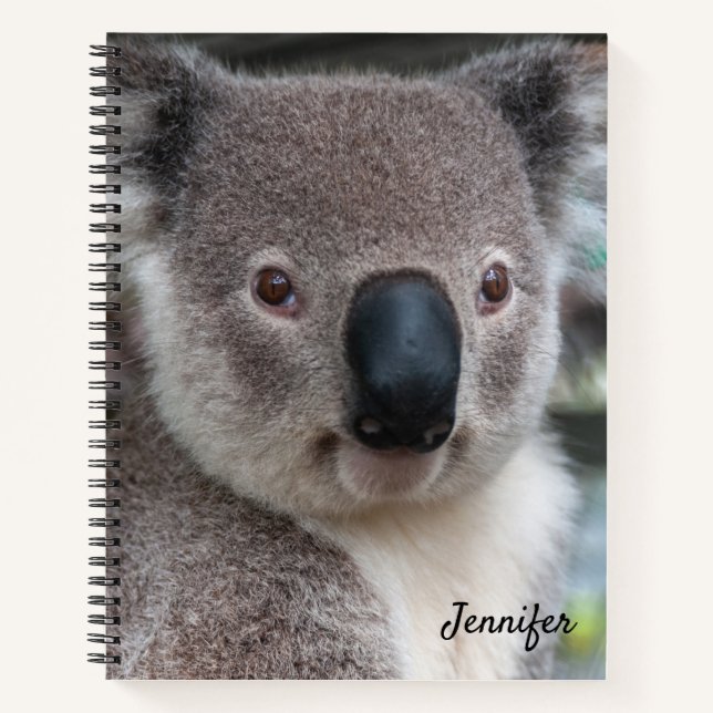Cuaderno espiral de oso koala lindo (Anverso)
