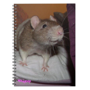 cuaderno espiral de risa de la rata