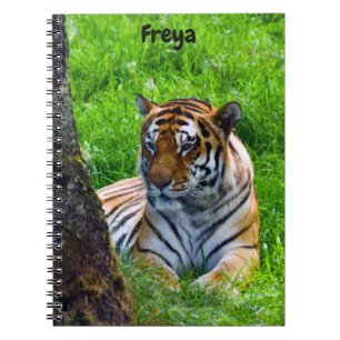 Cuaderno espiral de Tigre de Amur
