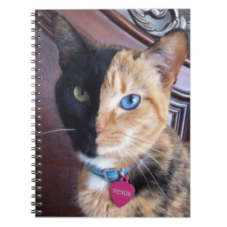 Cuaderno espiral del gato de Venus