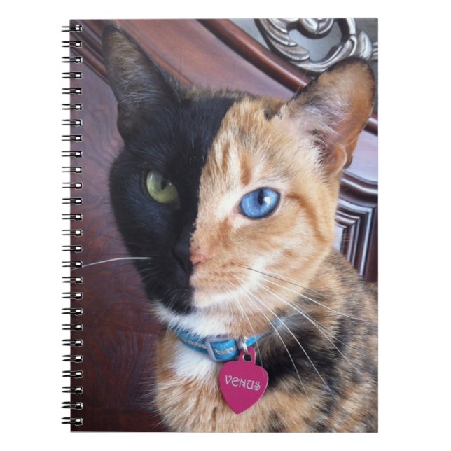 Cuaderno espiral del gato de Venus (Frente)