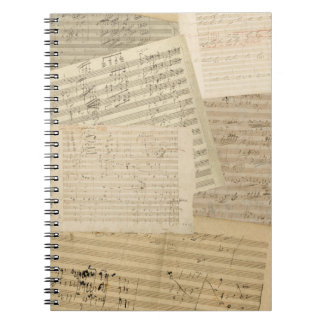Cuaderno espiral del relevo del manuscrito de
