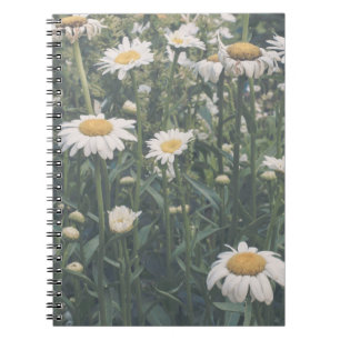 Cuaderno Espiral Floral de Margaritas