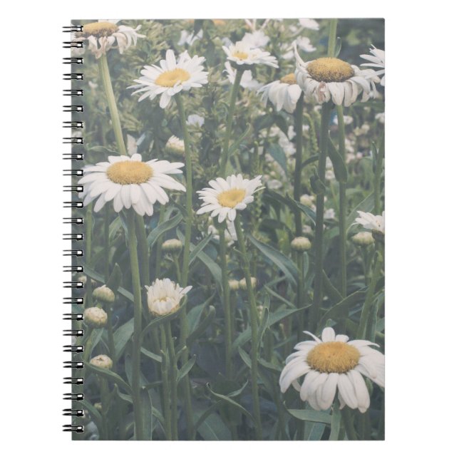Cuaderno Espiral Floral de Margaritas (Frente)
