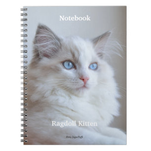 Cuaderno espiral - gatito Boris SugarPuffs de