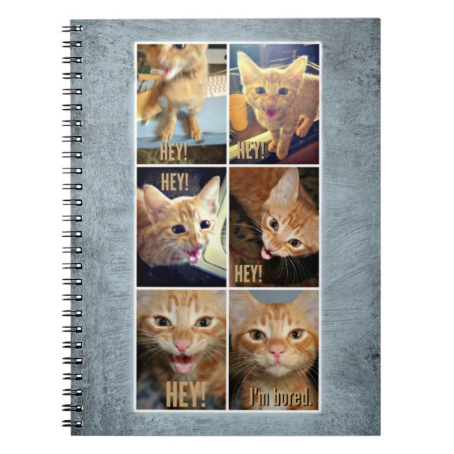 Cuaderno espiral para las cosas impresionantes (Frente)