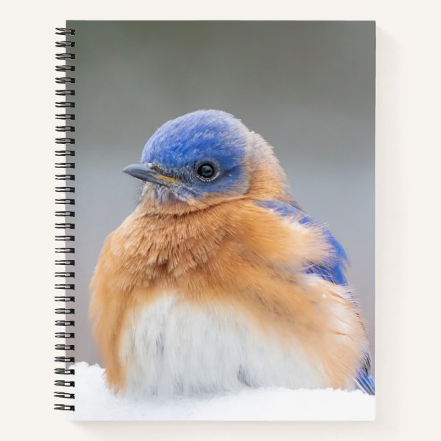 Cuaderno Espiral para portátiles de oficina de aves silvest (Anverso)