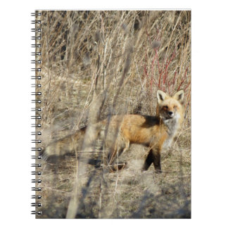 Cuaderno espiral rojo del Fox del Adirondacks (NY)
