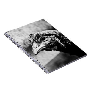 Cuaderno espíritus y pollos