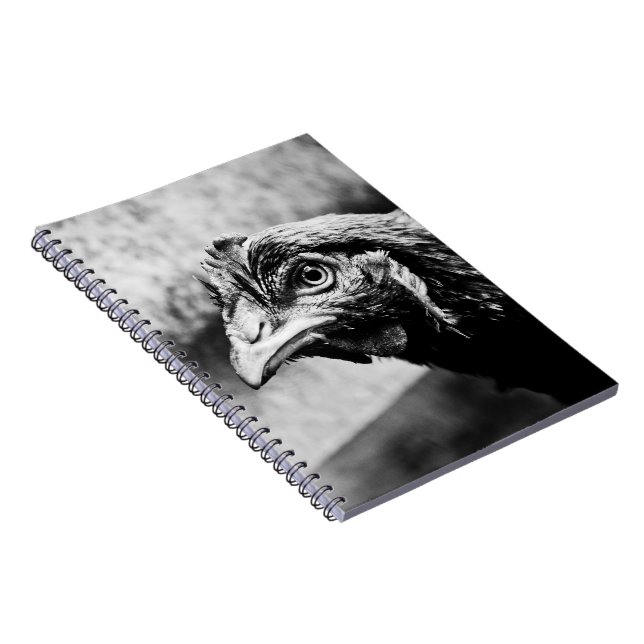 Cuaderno espíritus y pollos (Lado Derecho)