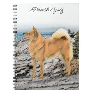 Cuaderno Espitz finlandés en la pintura de la costa - Arte