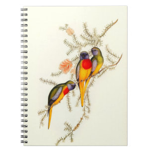 Cuaderno Espléndido paracaídas de hierba, cosecha