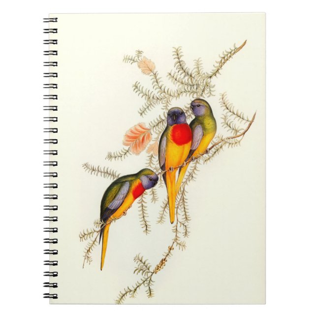 Cuaderno Espléndido paracaídas de hierba, cosecha (Frente)