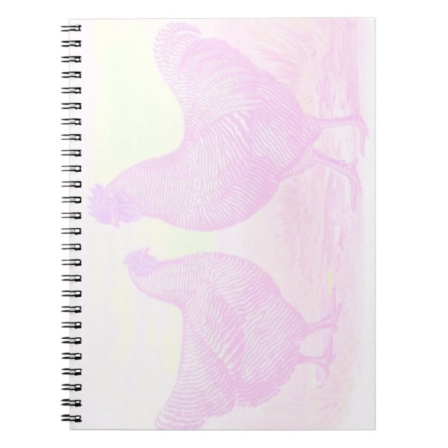 Cuaderno Espuma rosa (Frente)