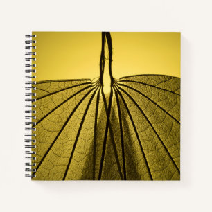 Cuaderno Esqueleto de hojas